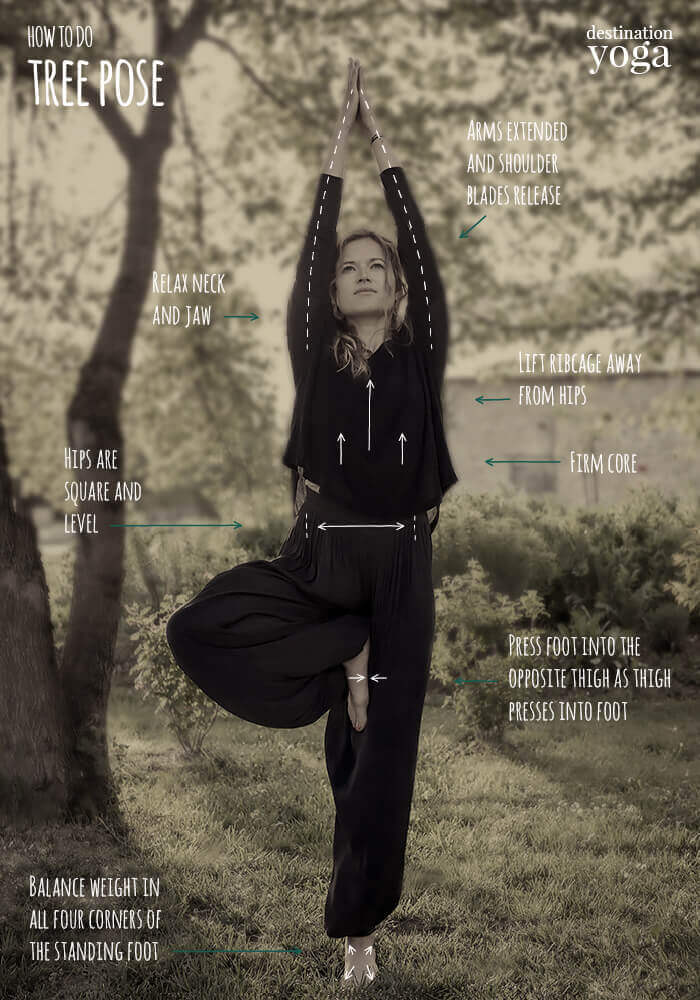 How to do: Tree Yoga Pose